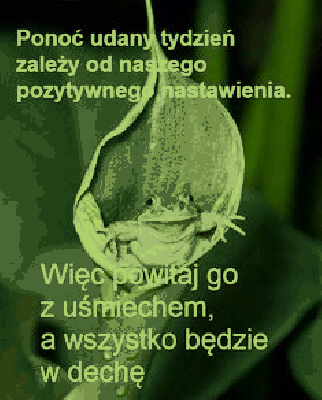 Żaba na udany tydzień